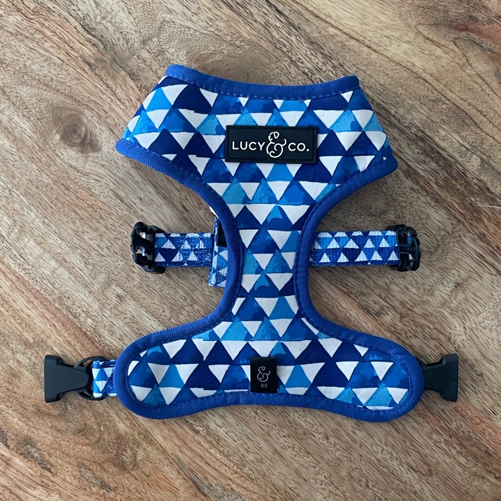 Lucy & Co Reversible Harness - The Royal Garden